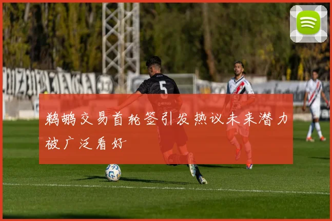 鹈鹕交易首轮签引发热议未来潜力被广泛看好
