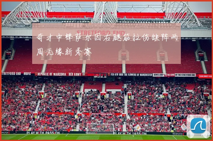 奇才中锋萨尔因右腿筋拉伤缺阵两周无缘新秀赛